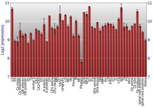 Expression graph