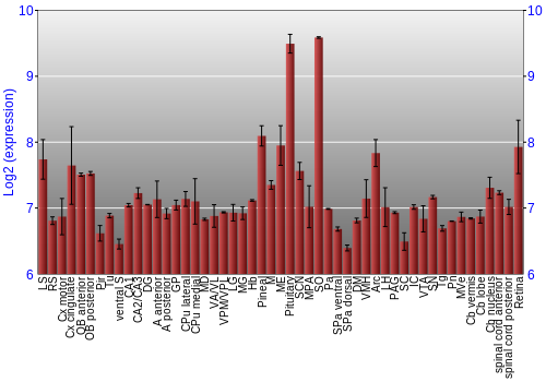 Expression graph
