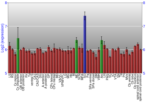 Multi-state expression graph