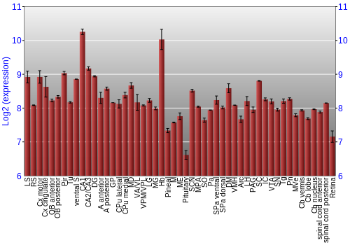 Expression graph