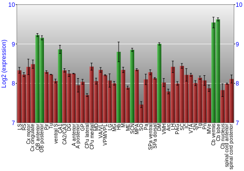 Multi-state expression graph