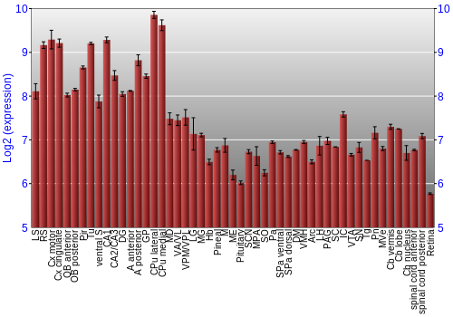 Expression graph