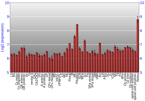 Expression graph