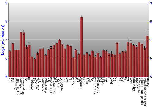 Expression graph