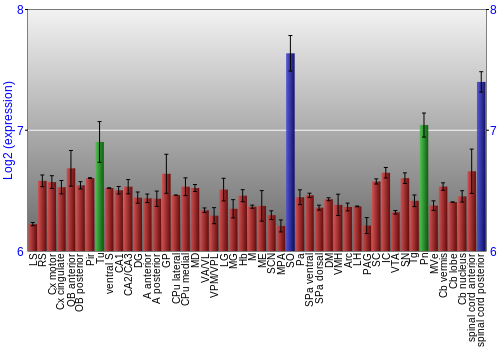 Multi-state expression graph