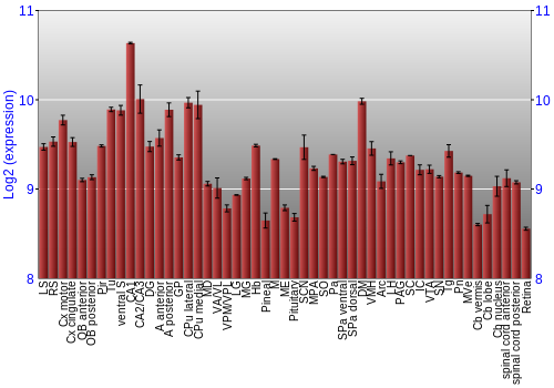 Expression graph