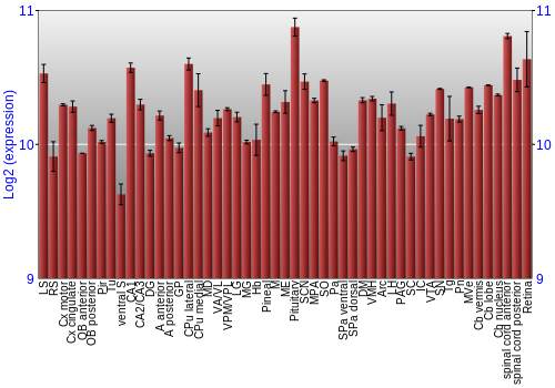 Expression graph