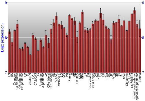 Expression graph