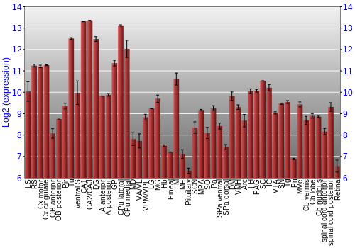 Expression graph