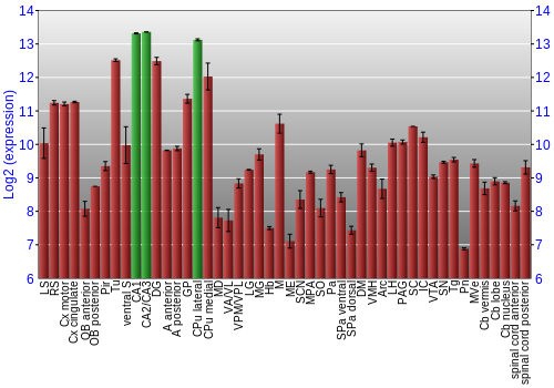 Multi-state expression graph