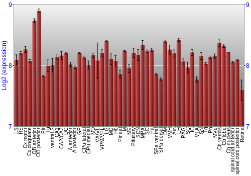 Expression graph
