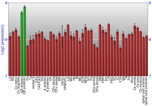 Multi-state expression graph