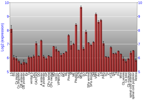 Expression graph