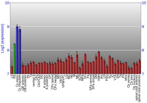 Multi-state expression graph