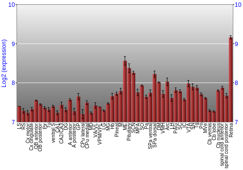 Expression graph
