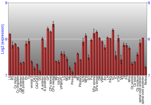 Expression graph
