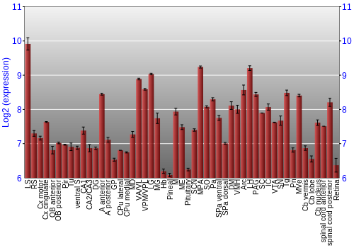 Expression graph