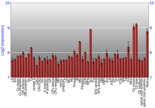 Expression graph