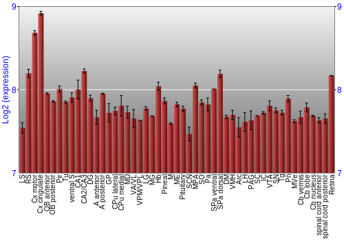 Expression graph