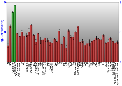 Multi-state expression graph