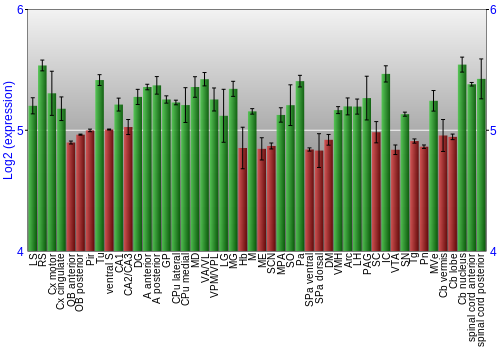 Multi-state expression graph