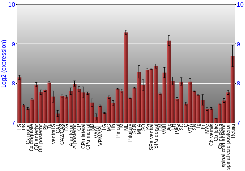 Expression graph