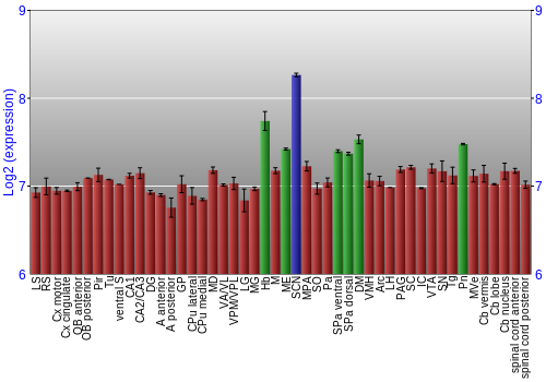 Multi-state expression graph