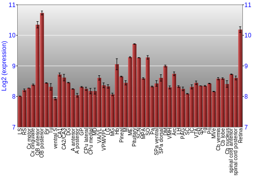 Expression graph