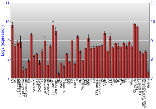 Expression graph