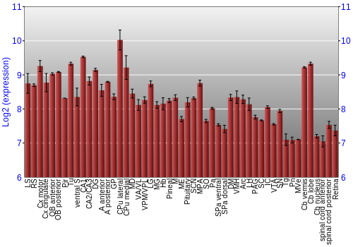 Expression graph