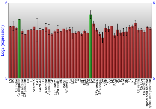 Multi-state expression graph
