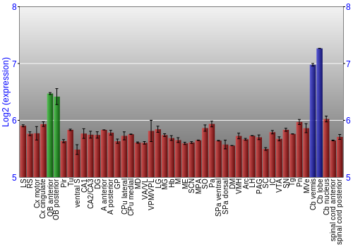 Multi-state expression graph