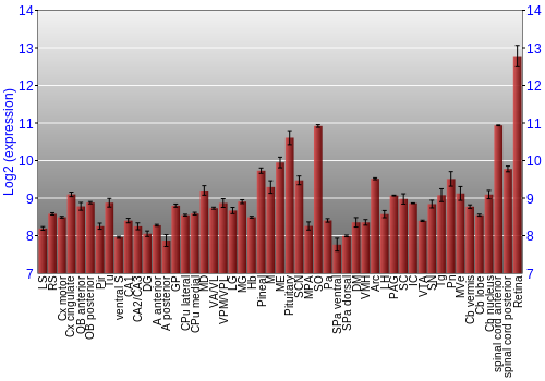 Expression graph