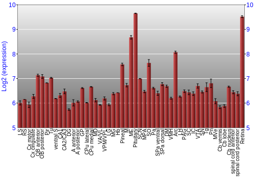 Expression graph