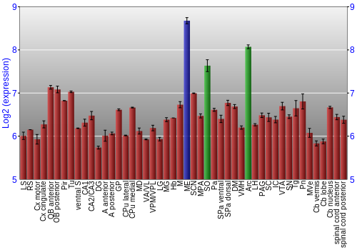 Multi-state expression graph