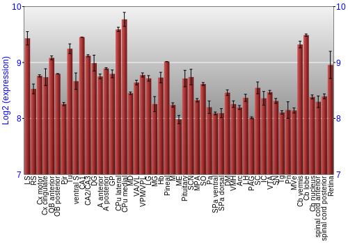 Expression graph