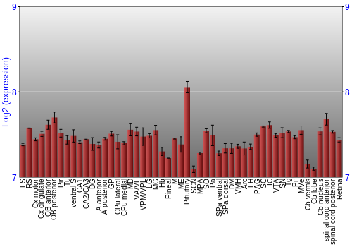 Expression graph