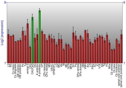 Multi-state expression graph