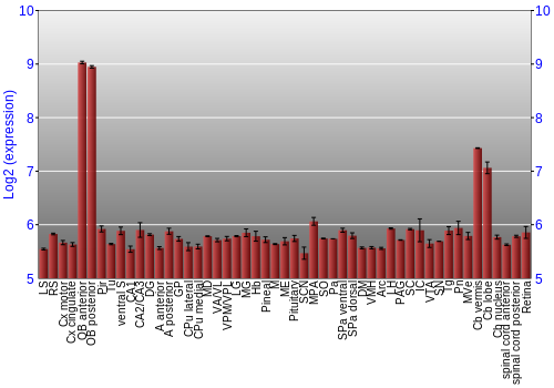 Expression graph