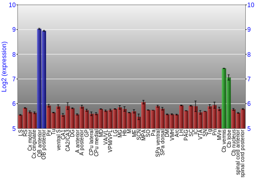 Multi-state expression graph