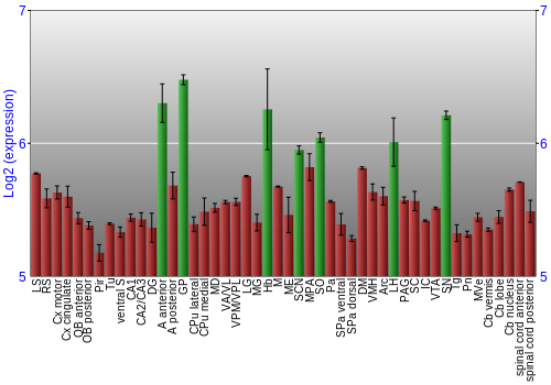 Multi-state expression graph