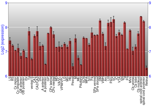 Expression graph