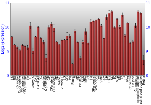 Expression graph