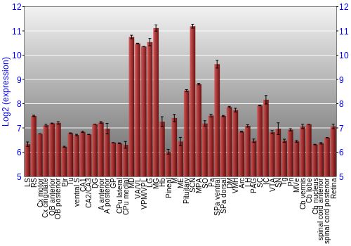 Expression graph