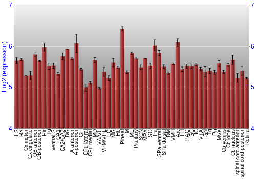 Expression graph