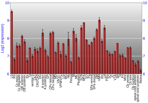 Expression graph