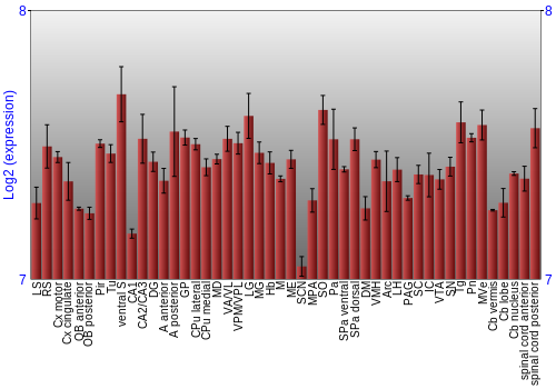Multi-state expression graph