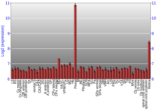Expression graph