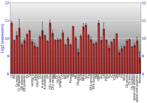 Expression graph