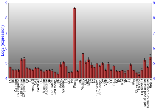 Expression graph